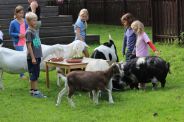 Kinderboerderij Goudse Hofsteden