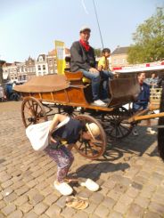  Dutch Ride: voor elke rit met paard en rijtuig